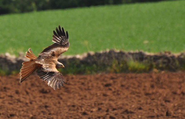 Beautiful 3 Bedroomed Cotswolds Farmhouse - Photo 21
