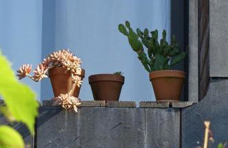 O Refugio Nas Vinhas - Foto 10