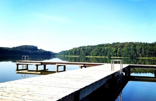 Apartament nad jeziorem WELLE - Photo 21