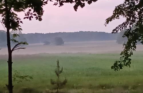 Gospodarstwo Agroturystyczne ŻARNOWIEC - Foto 31