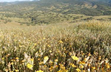 Casa de Piedras by SIERRA VIVA desing - Foto 18