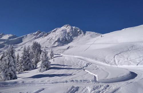 Appartement studio cabine avec vue panoramique au pied des pistes - Foto 18