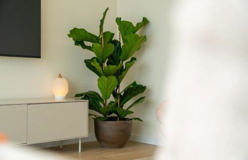 Eco Fajã Villas - Foto 55