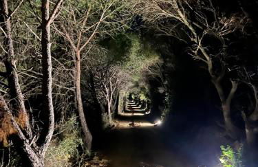 Agreen Country House - Foto 16