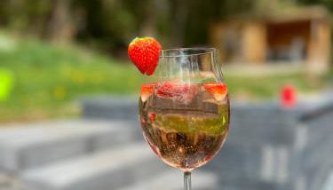 Ferienhaus Waldblick - Photo 4, Garden