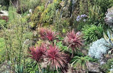 *Stunning* The Botanist Rest Ventnor IOW - Foto 59