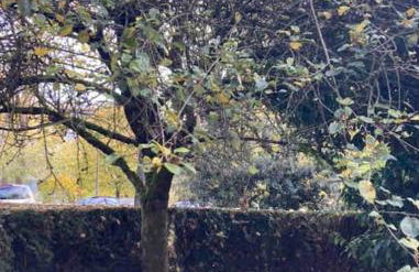 Lovely studio 35 m2 with garden. 2/4 people - Foto 8