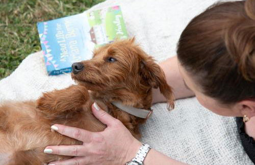 Luxury Silver Birch Lodge: Hot Tub/BBQ/Fire Pit - Foto 25