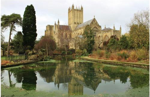 Wells City Centre, Quiet Mews House, sleeps 6 - Foto 32