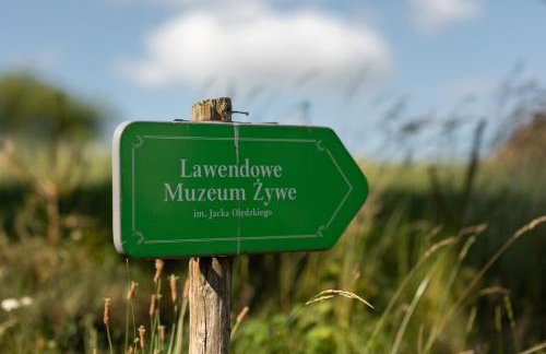 Nowe Kawkowo 28 - Foto 9