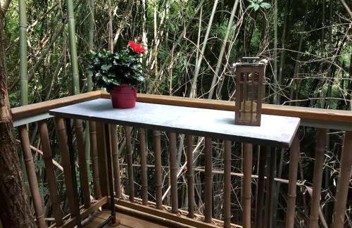 Cozy Alpaca Tree House Rental in the Bamboo Forest in Atlanta, Georgia - Foto 20