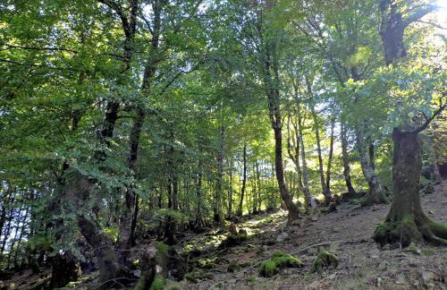 Pedroenea Apartamento Elizondo - Foto 45