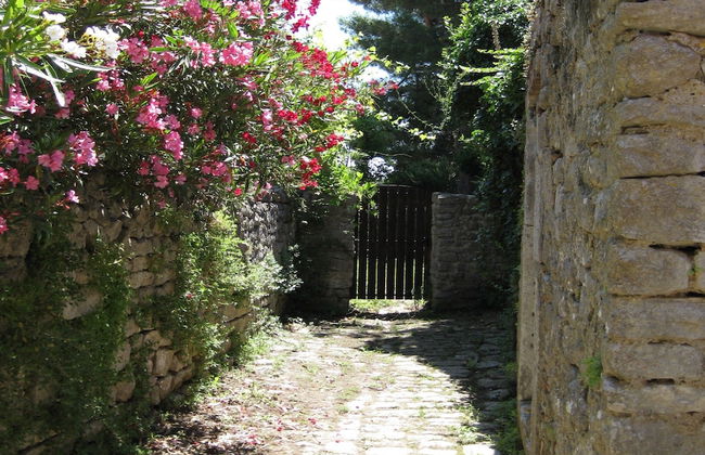 Unique Antistress Oasis Villa Antiqua - Foto 43