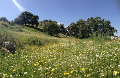 Los Castillarejos Apartamentos Rurales - Foto 91