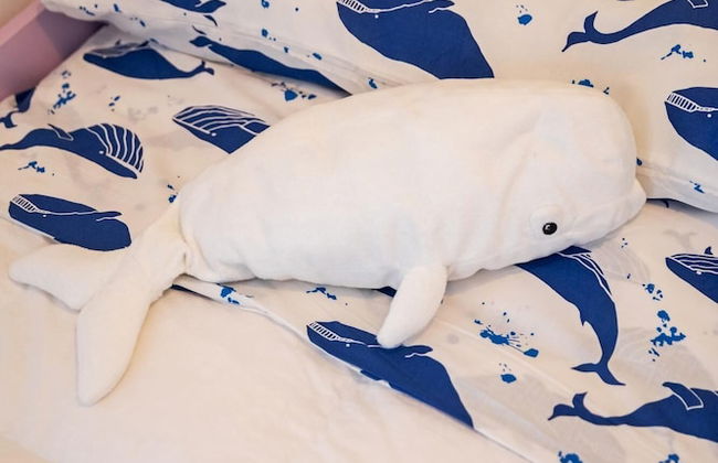 Martilla in Gabicce Mare - Foto 34