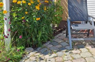 Boddenpieper - Foto 10