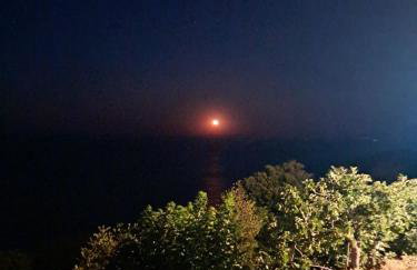 To giataki tou pappou - Foto 42