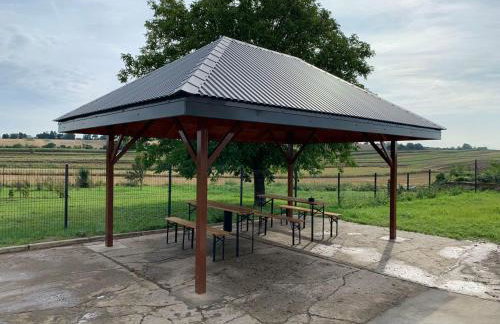 PrzyStań S7 - Foto 67