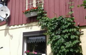 Bubi Niedlich - Foto 40