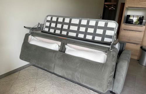 T2 cosy avec terrasse et jardin à Belley - Foto 7