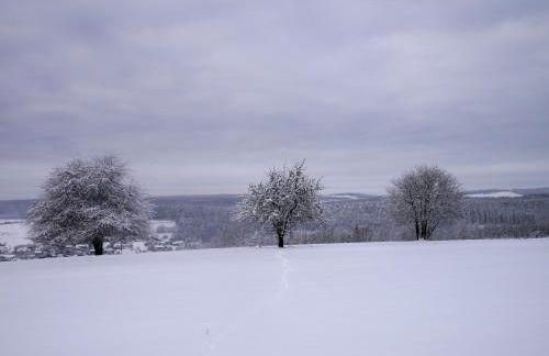 Haus Johannes - Foto 35