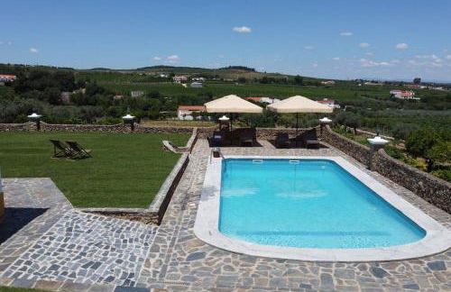 Horta dos Caracóis - Foto 16