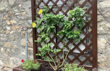 Senin House - Foto 29