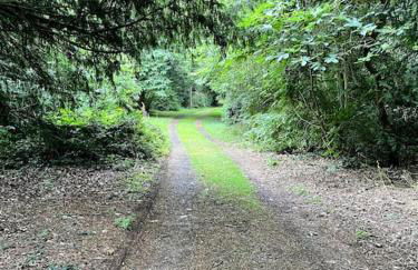 Beckbury Guesthouse - Foto 33