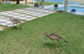 Sítio frente à Barragem - Foto 37