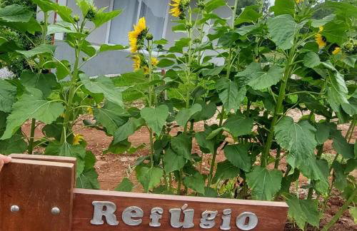 Refúgio da Serra - Foto 26