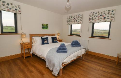 Rhandir Hen - Foto 53