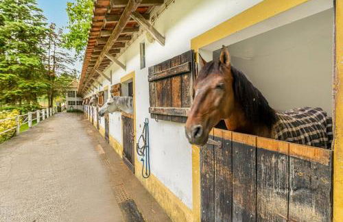 Casa da Azenha - Quinta do Boição - Private pool - Foto 20