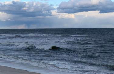 Fabulous Westhampton Dunes Waterfront - Photo 18