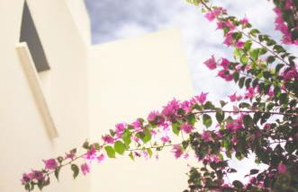 Casa Marlene - Foto 30