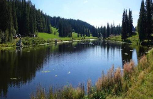 Ferienhaus, Muhlenbach - Foto 64