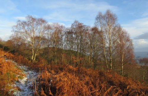 Osprey, Longhouse Cottages - Foto 16