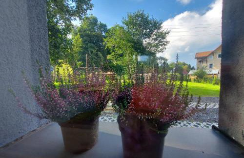 Bryziówka B - Foto 40