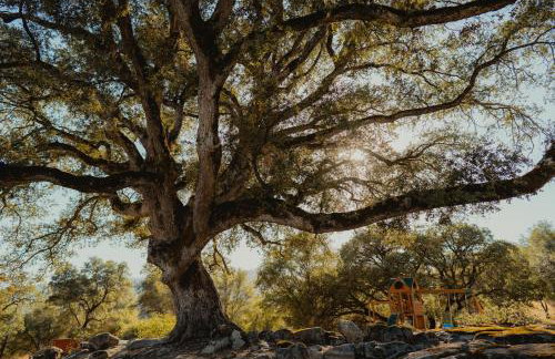 Sunset Site Boulder Bliss HotTub by Casa Oso - Foto 44