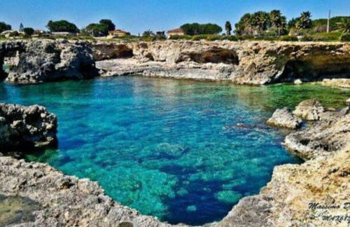 Il Campo Blu - Foto 54