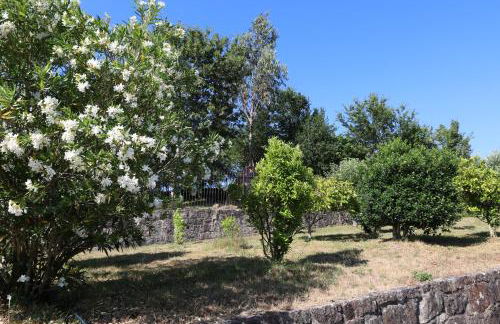 Qt Refúgio de Rubiães Villa 1-2 Paredes de Coura - Foto 39