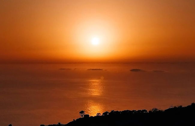 Caracol "trail Mountain La Palma" - Junto a Trébol - Foto 31