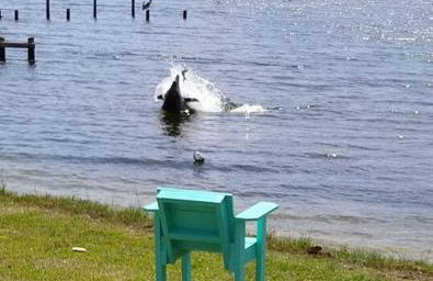 Studio with Private Beach on Bayou Grande - Photo 10