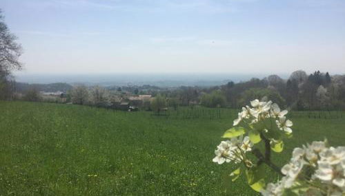 Boccaor - Foto 3, Garden