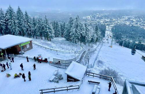 Ferienwohnung Harzurlaub - Photo 62