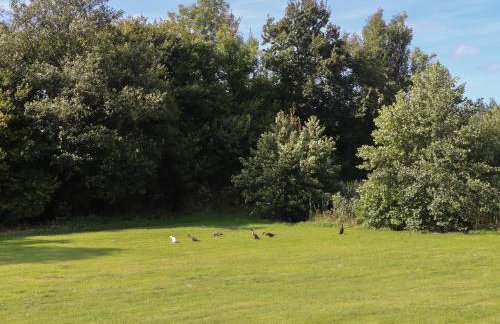 Binneford Barn - Foto 39