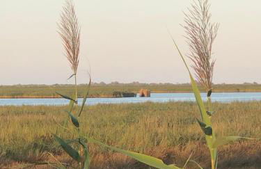 Mare&Terra... Alloggi nel Delta - Foto 23