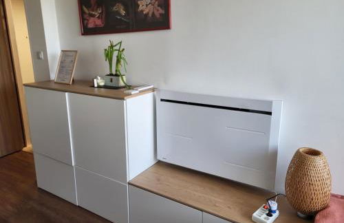 Soundproof Studio Geneva Airport 10 min and UN 20 min - Foto 6