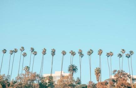 Executive Suites Burbank - Foto 17