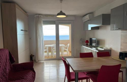 Studio cabine à Banyuls-sur-Mer avec terrasse - FR-1-309-210 - Foto 13