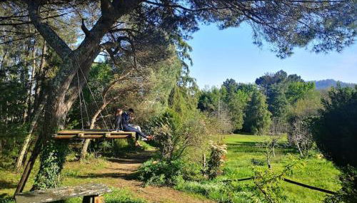 Pine Lodge - direct train to Porto - Foto 4